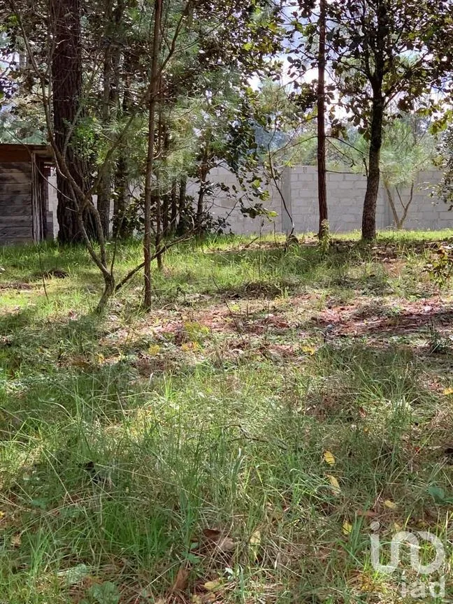 Terreno en Venta en Corazón de María, San Cristóbal de las Casas, Chiapas | NEX-59755 | iad México | Foto 2 de 6