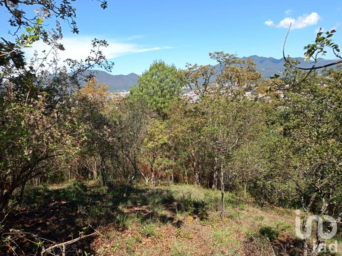 Terreno en Venta en San Nicolás, San Cristóbal de las Casas, Chiapas | NEX-66024 | iad México | Foto 1 de 5