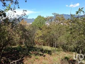 NEX-66024 - Terreno en Venta en San Nicolás, CP 29254, Chiapas.