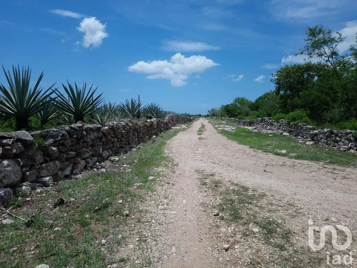 Terreno en Venta en Chicxulub, Chicxulub Pueblo, Yucatán | NEX-49490 | iad México | Foto 1 de 3