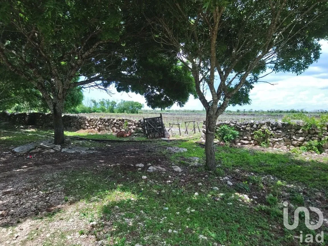 Terreno en Venta en Chicxulub, Chicxulub Pueblo, Yucatán | NEX-49490 | iad México | Foto 2 de 3