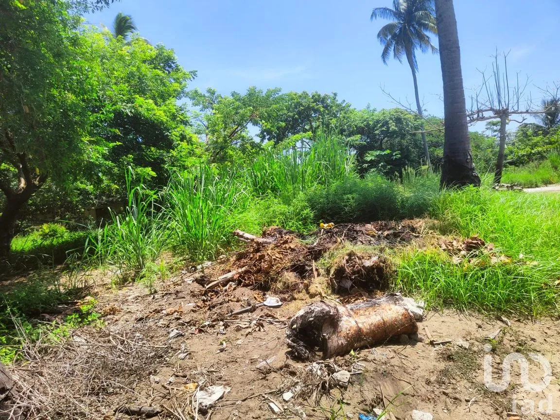 Terreno en Venta en Monte Gordo, Tecolutla, Veracruz de Ignacio de la Llave | NEX-177359 | iad México | Foto 11 de 15