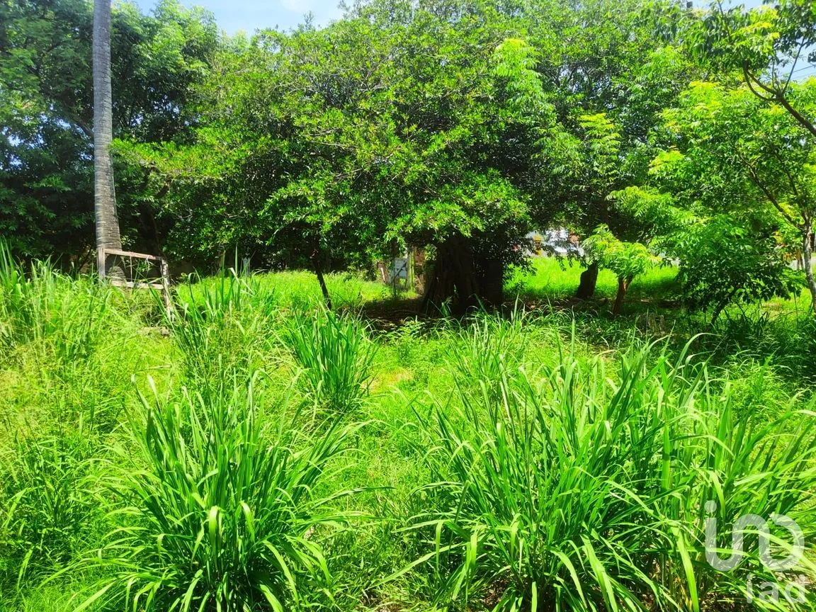 Terreno en Venta en Monte Gordo, Tecolutla, Veracruz de Ignacio de la Llave | NEX-177359 | iad México | Foto 12 de 15