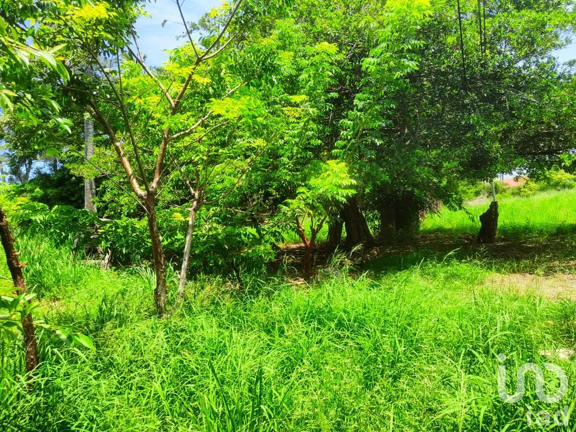 Terreno en Venta en Monte Gordo, Tecolutla, Veracruz de Ignacio de la Llave | NEX-177359 | iad México | Foto 13 de 15