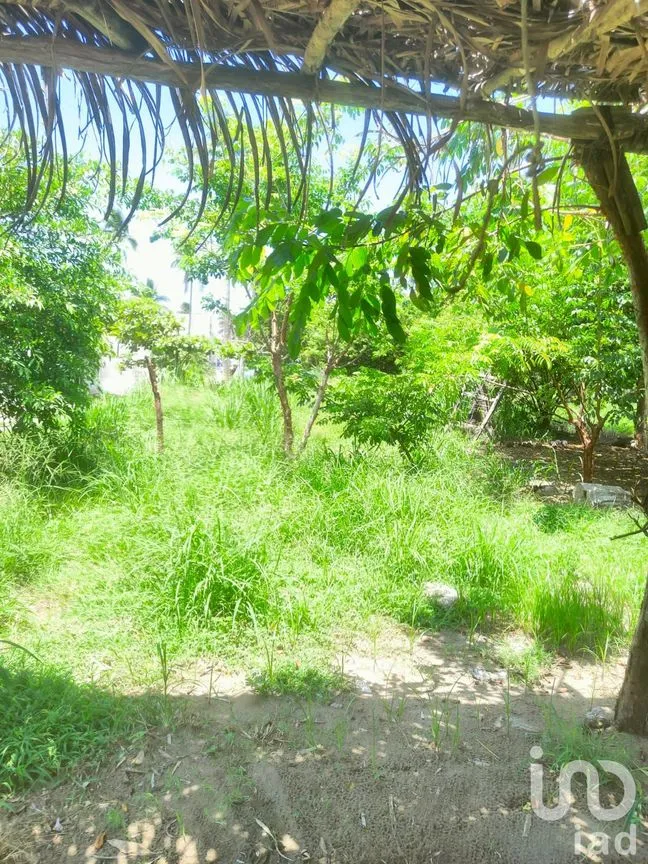 Terreno en Venta en Monte Gordo, Tecolutla, Veracruz de Ignacio de la Llave | NEX-177359 | iad México | Foto 14 de 15