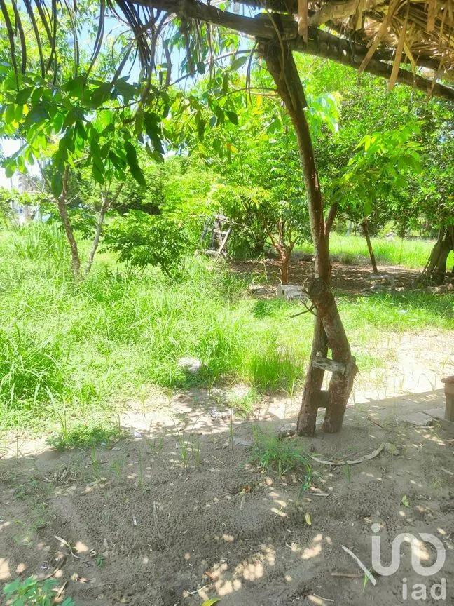 Terreno en Venta en Monte Gordo, Tecolutla, Veracruz de Ignacio de la Llave | NEX-177359 | iad México | Foto 15 de 15