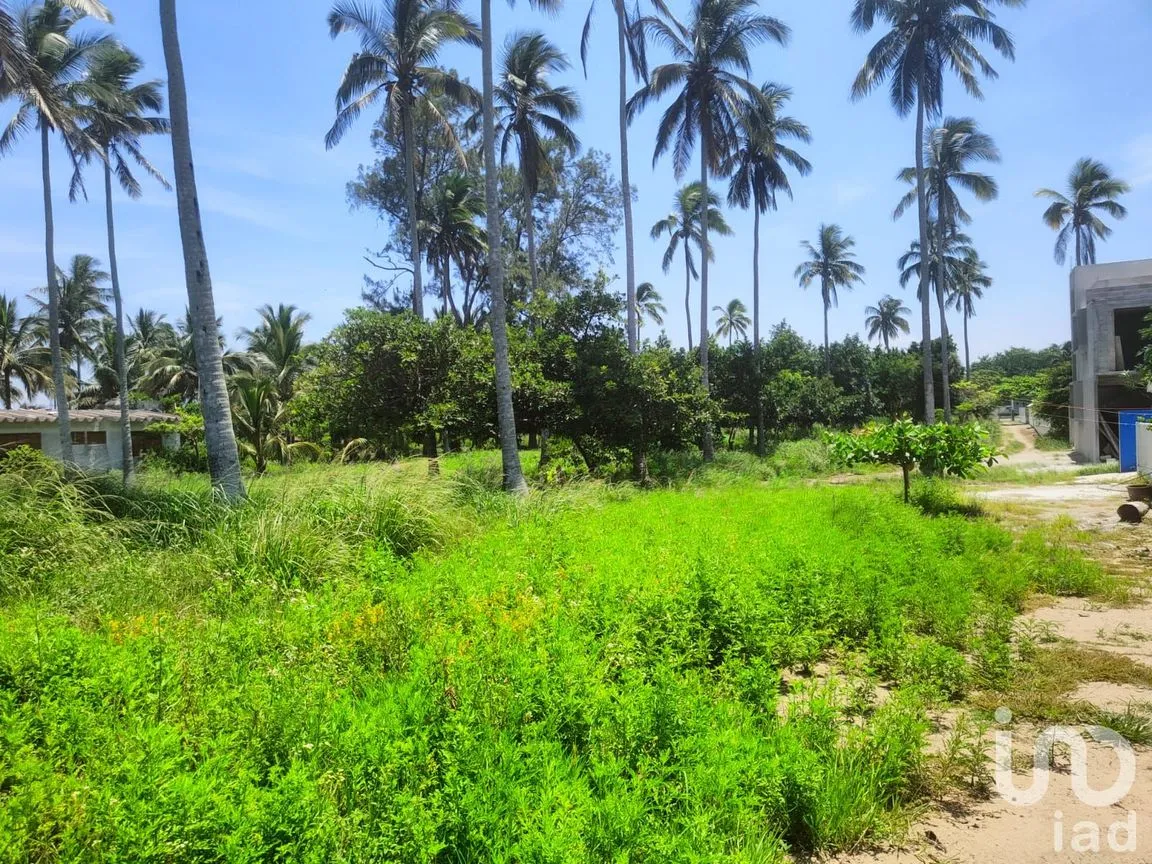 Terreno en Venta en Monte Gordo, Tecolutla, Veracruz de Ignacio de la Llave | NEX-177359 | iad México | Foto 3 de 15