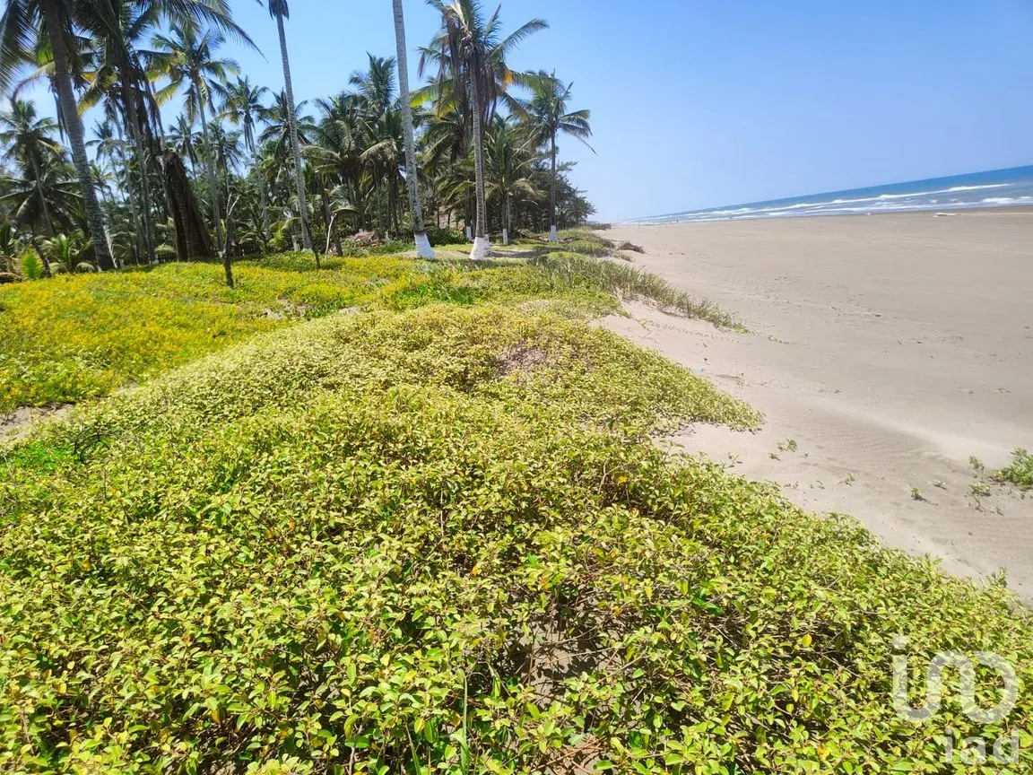 Terreno en Venta en Monte Gordo, Tecolutla, Veracruz de Ignacio de la Llave | NEX-177359 | iad México | Foto 4 de 15