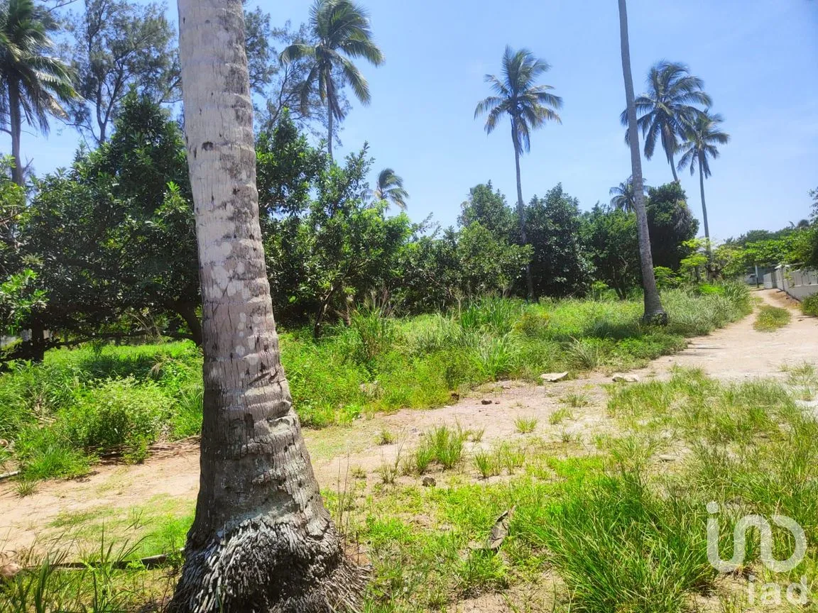 Terreno en Venta en Monte Gordo, Tecolutla, Veracruz de Ignacio de la Llave | NEX-177359 | iad México | Foto 6 de 15