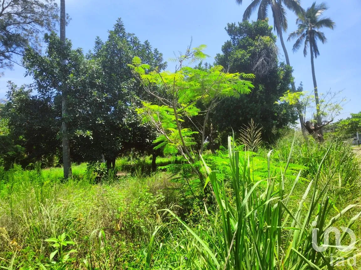 Terreno en Venta en Monte Gordo, Tecolutla, Veracruz de Ignacio de la Llave | NEX-177359 | iad México | Foto 7 de 15