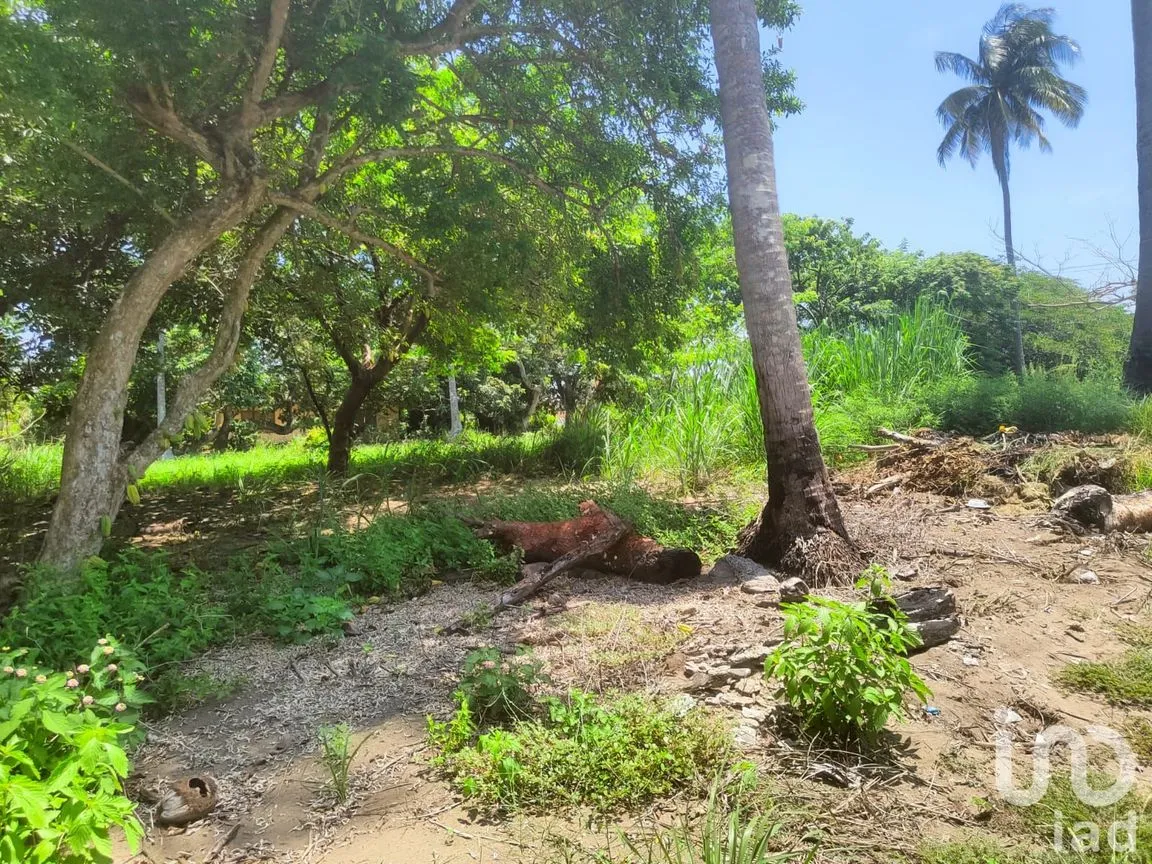 Terreno en Venta en Monte Gordo, Tecolutla, Veracruz de Ignacio de la Llave | NEX-177359 | iad México | Foto 10 de 15
