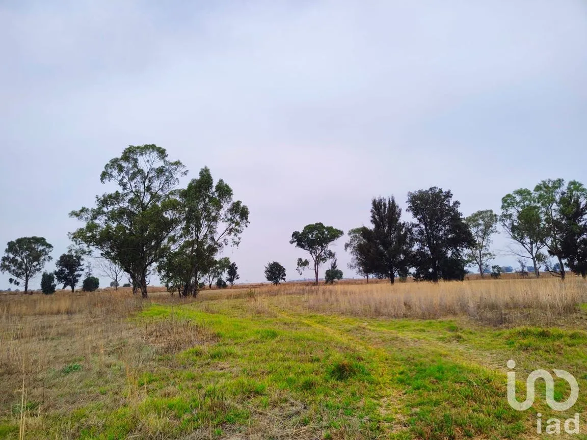 Terreno en Venta en Santa Cruz de Abajo, Texcoco, México | NEX-199039 | iad México | Foto 3 de 10