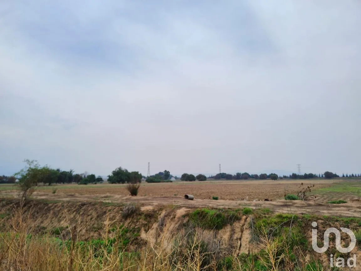 Terreno en Venta en Santa Cruz de Abajo, Texcoco, México | NEX-199039 | iad México | Foto 4 de 10