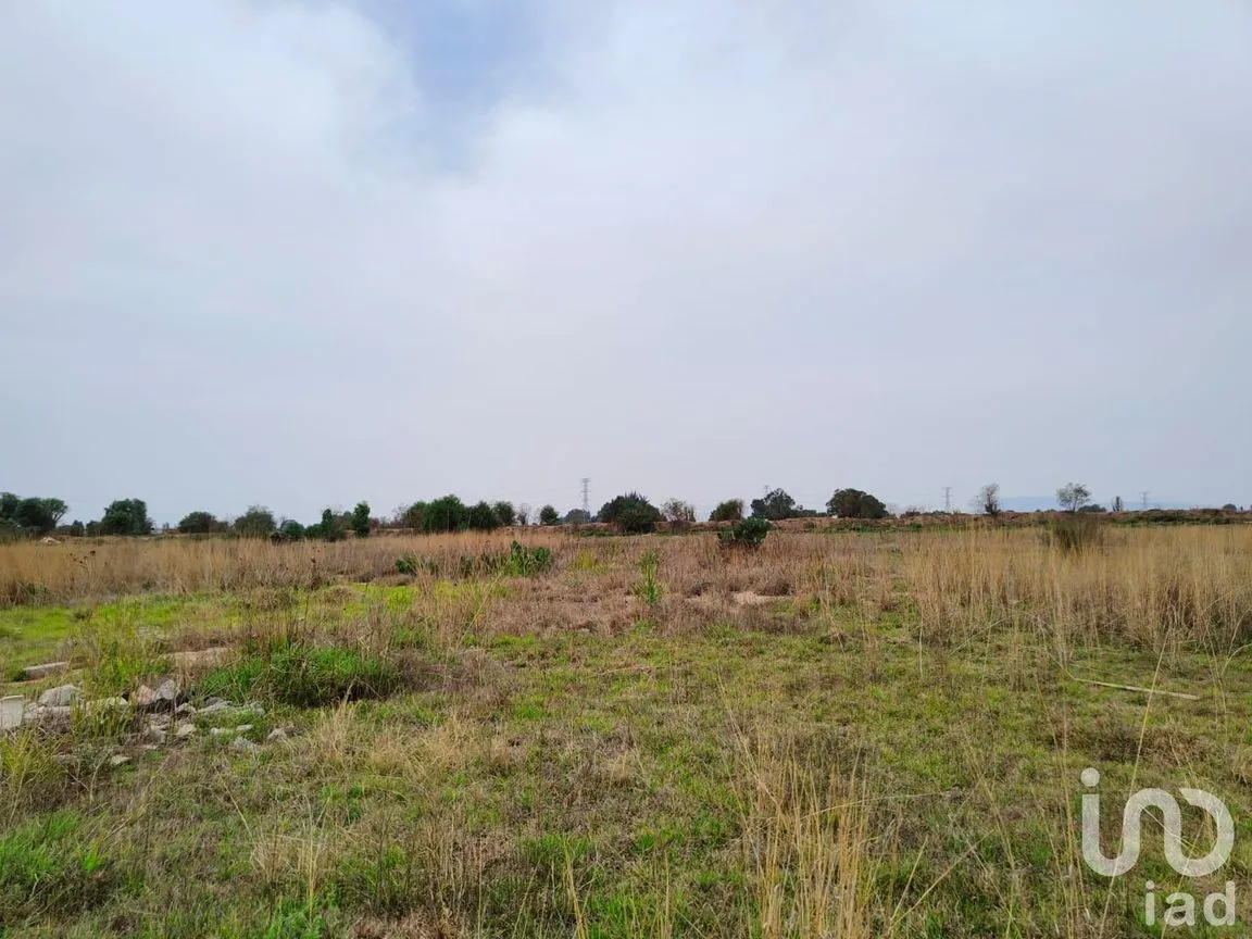 Terreno en Venta en Santa Cruz de Abajo, Texcoco, México | NEX-199039 | iad México | Foto 6 de 10