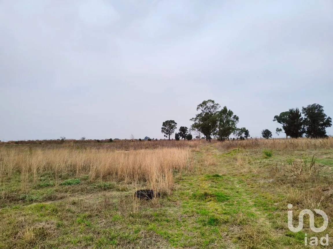 Terreno en Venta en Santa Cruz de Abajo, Texcoco, México | NEX-199039 | iad México | Foto 10 de 10