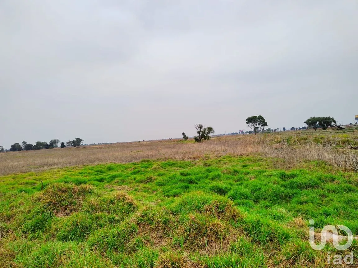 Terreno en Venta en Santa Cruz de Abajo, Texcoco, México | NEX-199039 | iad México | Foto 1 de 10