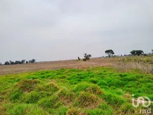 NEX-199039 - Terreno en Venta, con 17500 m2 de construcción en Santa Cruz de Abajo, CP 56205, México.