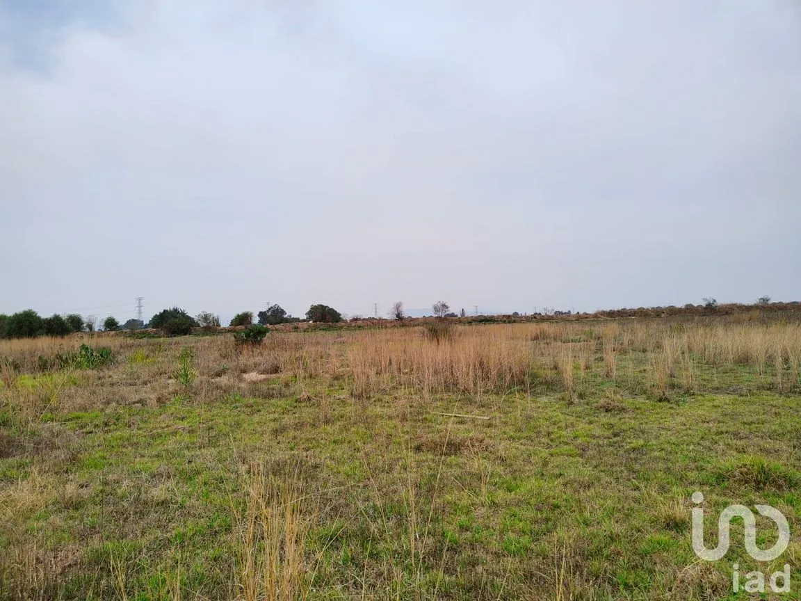 Terreno en Venta en Santa Cruz de Abajo, Texcoco, México | NEX-199040 | iad México | Foto 2 de 10