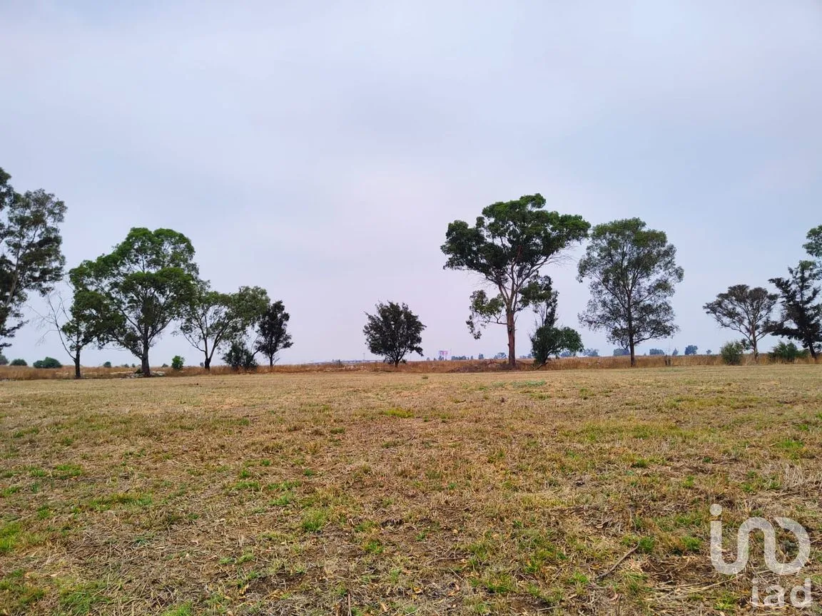 Terreno en Venta en Santa Cruz de Abajo, Texcoco, México | NEX-199040 | iad México | Foto 3 de 10