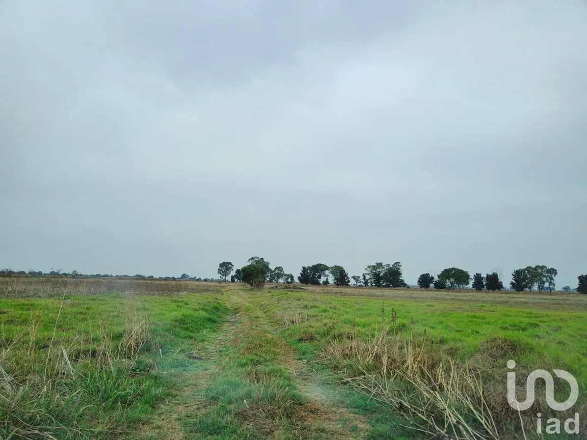 Terreno en Venta en Santa Cruz de Abajo, Texcoco, México | NEX-199040 | iad México | Foto 4 de 10