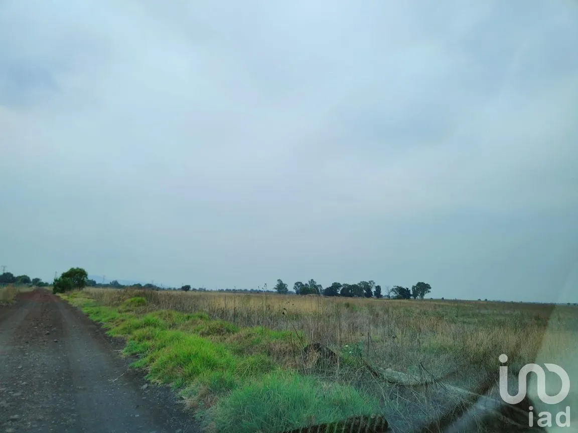 Terreno en Venta en Santa Cruz de Abajo, Texcoco, México | NEX-199040 | iad México | Foto 9 de 10