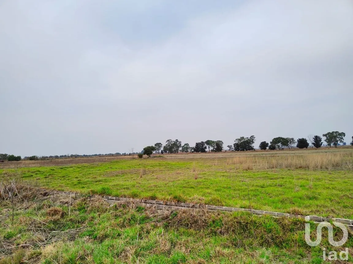 Terreno en Venta en Santa Cruz de Abajo, Texcoco, México | NEX-199040 | iad México | Foto 10 de 10