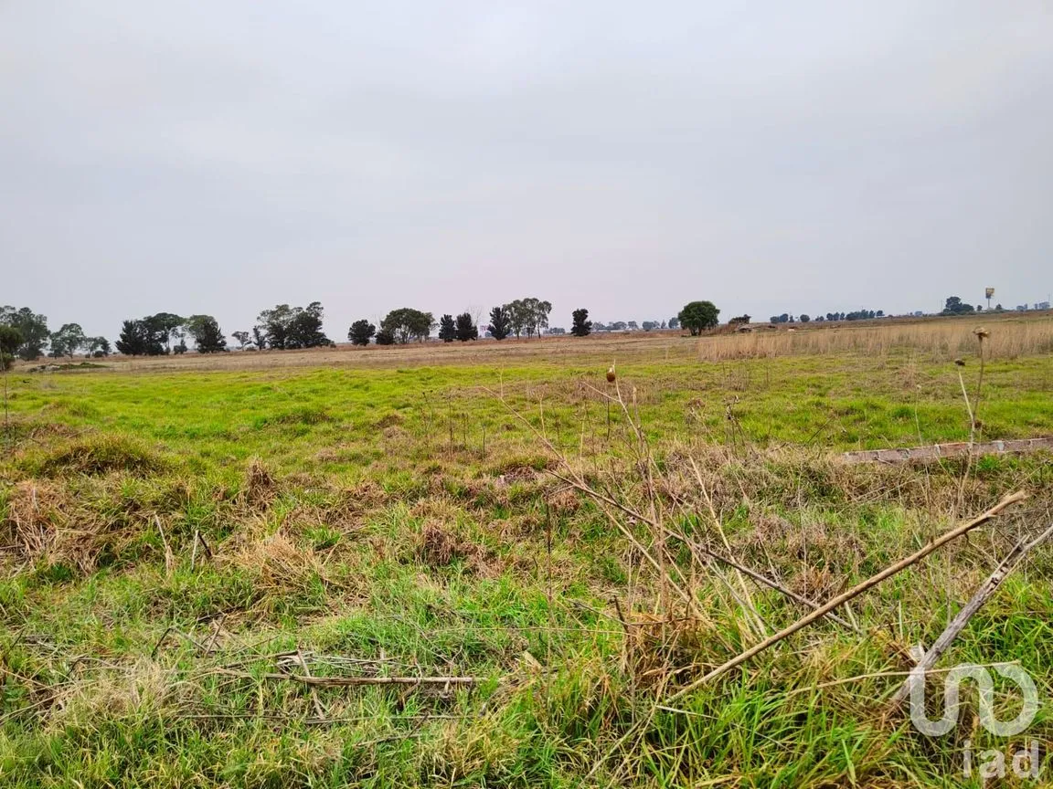 Terreno en Venta en Santa Cruz de Abajo, Texcoco, México | NEX-199040 | iad México | Foto 1 de 10