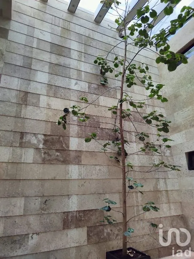 Casa en Venta en Tlayacapan Centro, Tlayacapan, Morelos | NEX-204699 | iad México | Foto 16 de 19