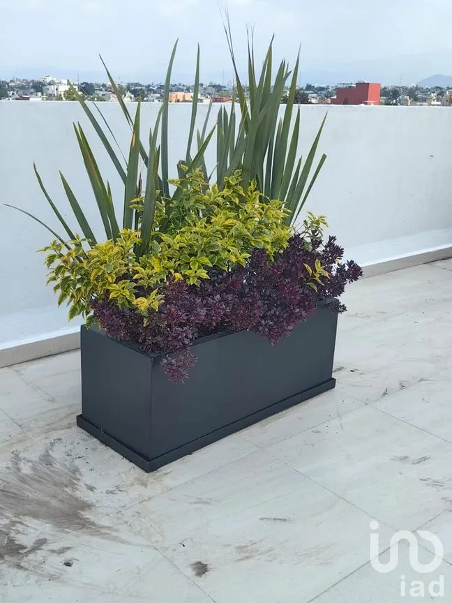 Departamento en Venta en Pedregal de Santo Domingo, Coyoacán, Ciudad de México | NEX-213284 | iad México | Foto 13 de 13