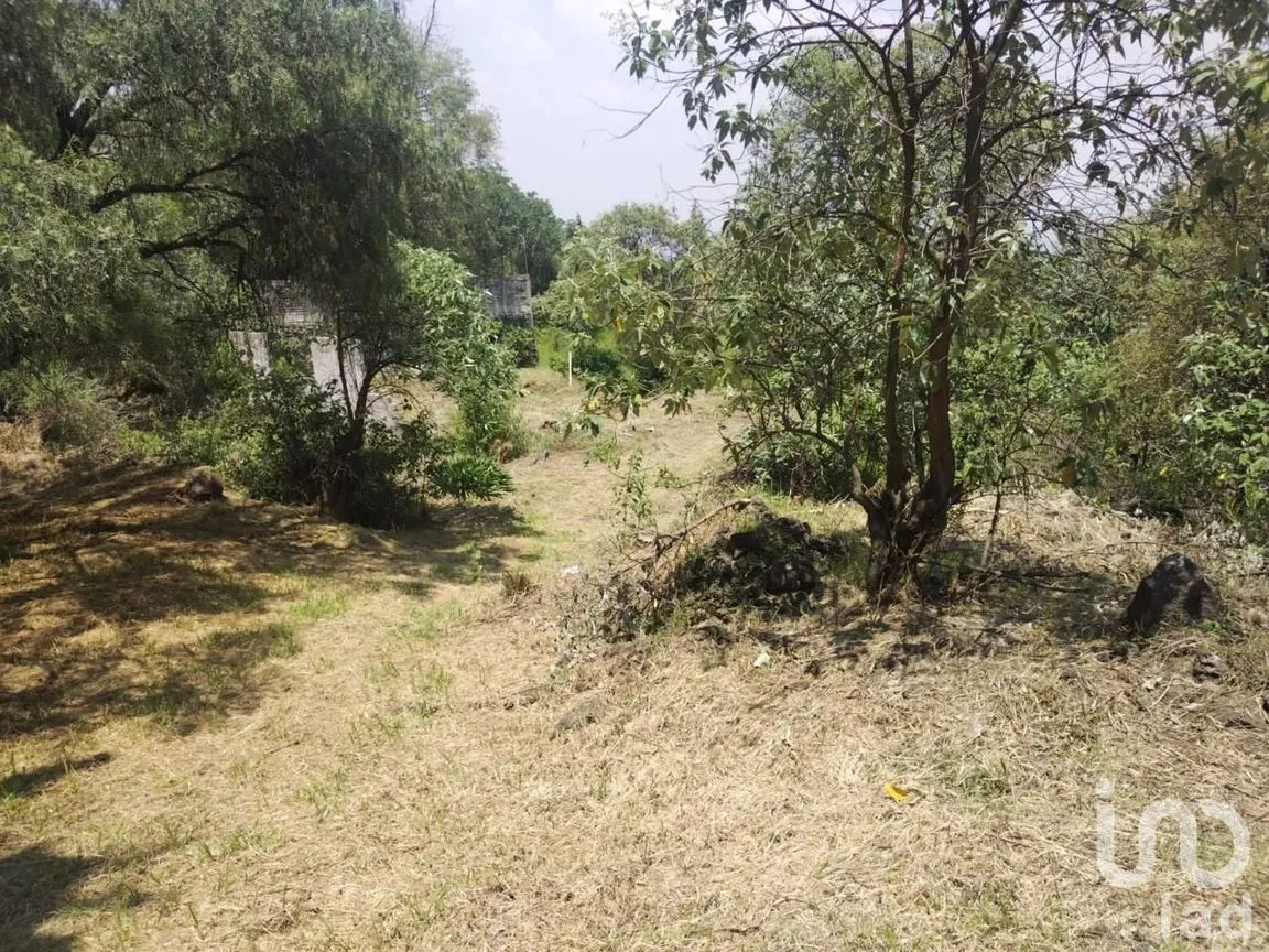 Terreno en Venta en San Andrés Totoltepec, Tlalpan, Ciudad de México | NEX-245269 | iad México | Foto 3 de 11