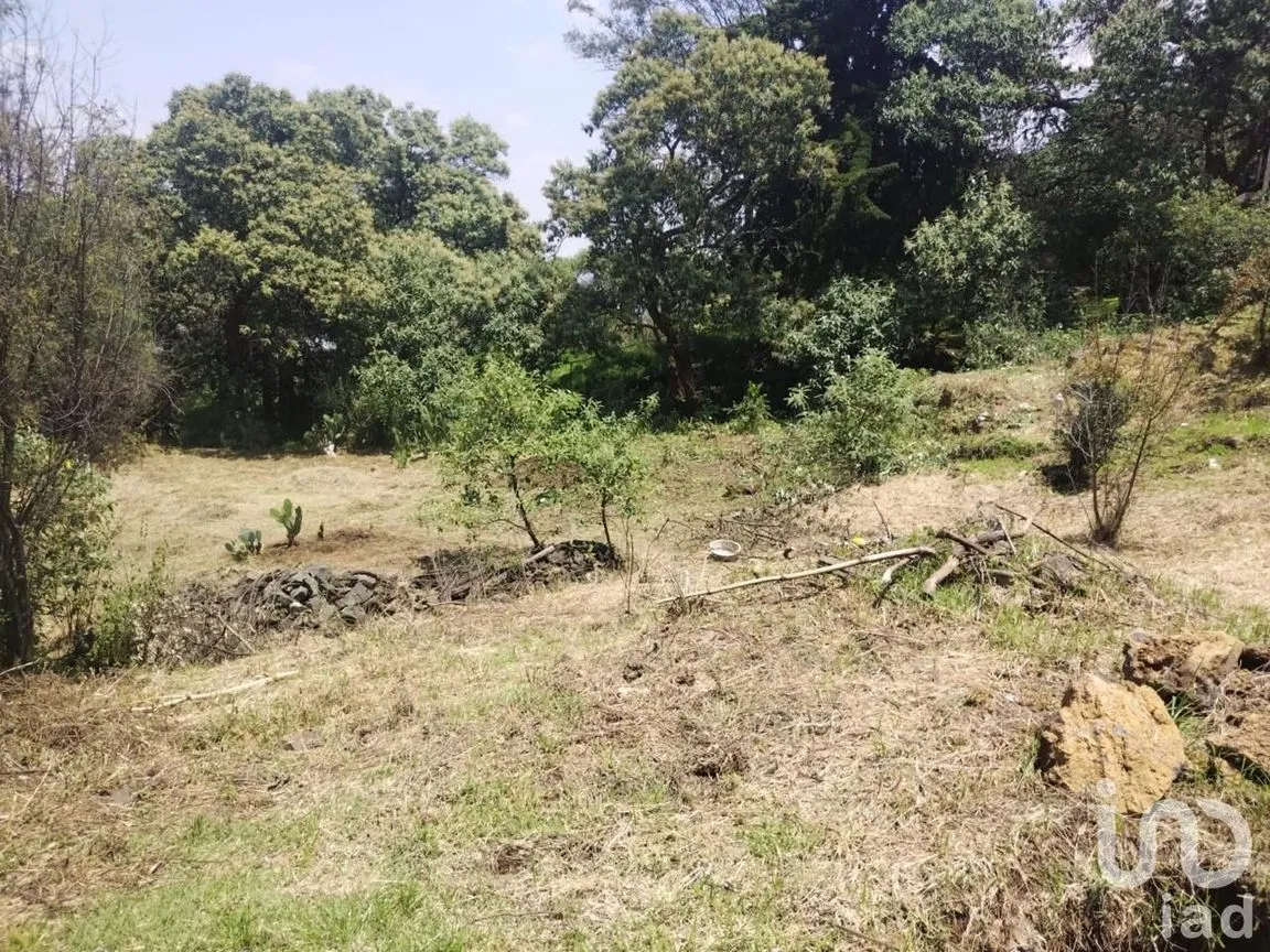 Terreno en Venta en San Andrés Totoltepec, Tlalpan, Ciudad de México | NEX-245269 | iad México | Foto 4 de 11