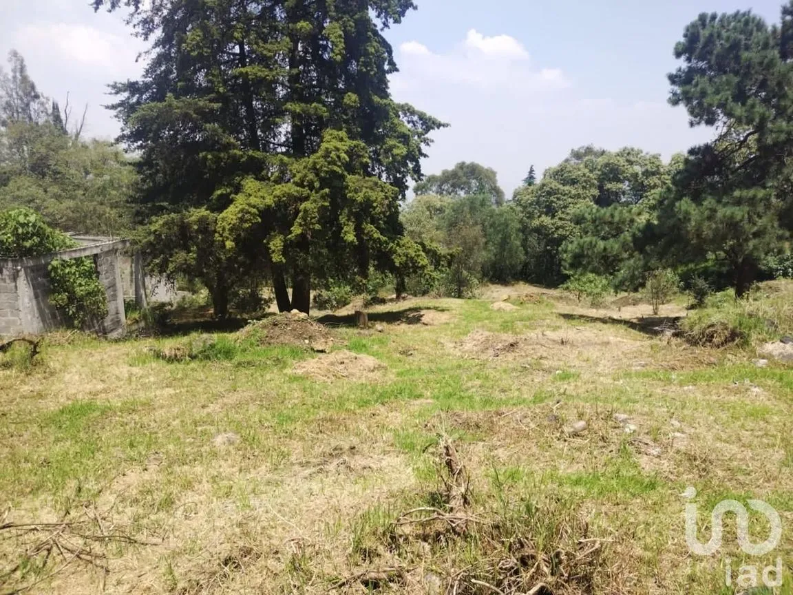 Terreno en Venta en Santa Catarina, Uruapan, Michoacán de Ocampo | NEX-245322 | iad México | Foto 2 de 12