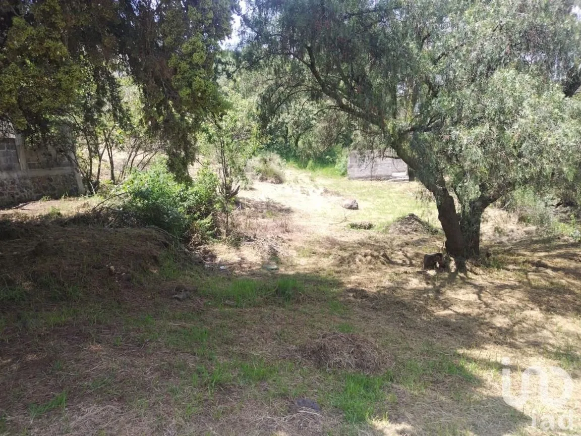 Terreno en Venta en Santa Catarina, Uruapan, Michoacán de Ocampo | NEX-245322 | iad México | Foto 7 de 12