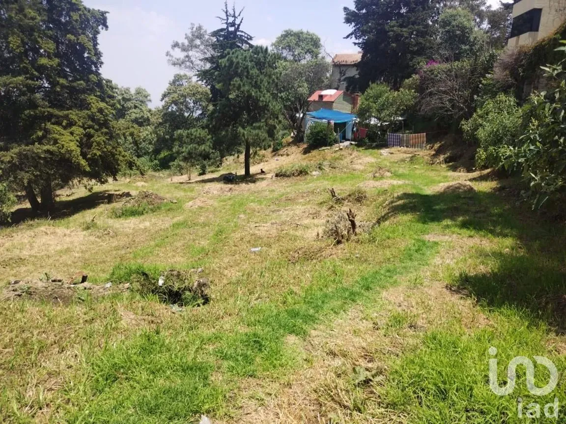 Terreno en Venta en Santa Catarina, Uruapan, Michoacán de Ocampo | NEX-245322 | iad México | Foto 10 de 12