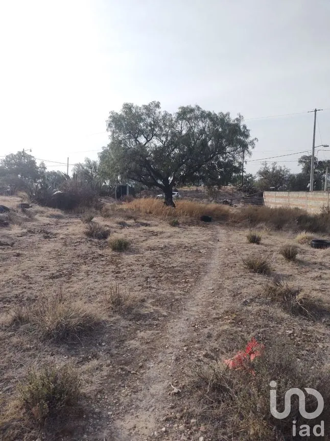 Terreno en Venta en Amaque, Mineral de la Reforma, Hidalgo | NEX-147859 | iad México | Foto 4 de 12