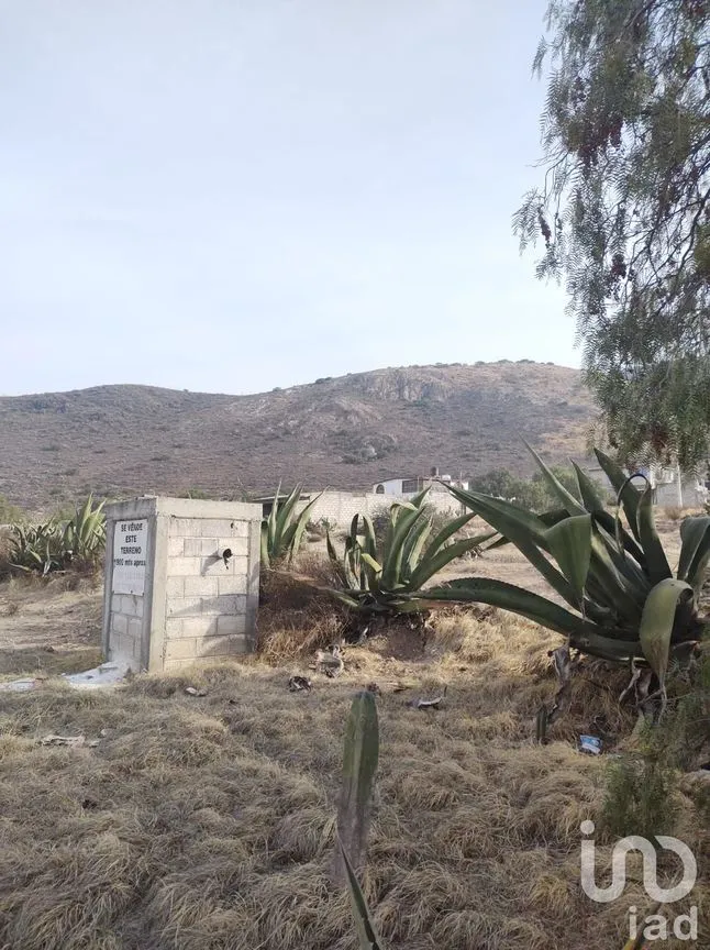 Terreno en Venta en Amaque, Mineral de la Reforma, Hidalgo | NEX-147859 | iad México | Foto 8 de 12