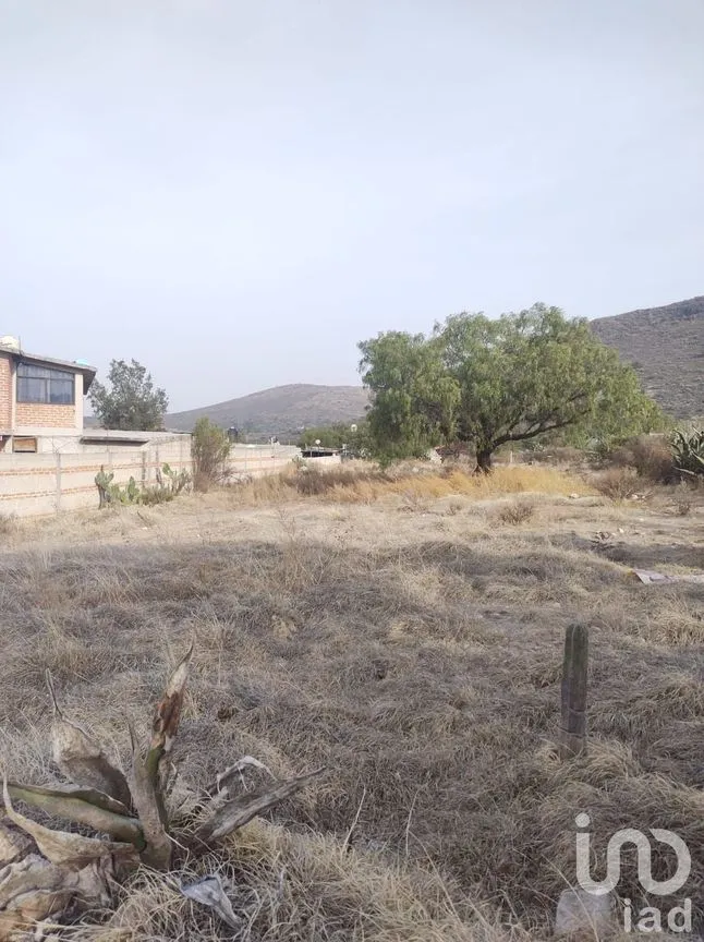 Terreno en Venta en Amaque, Mineral de la Reforma, Hidalgo | NEX-147859 | iad México | Foto 10 de 12