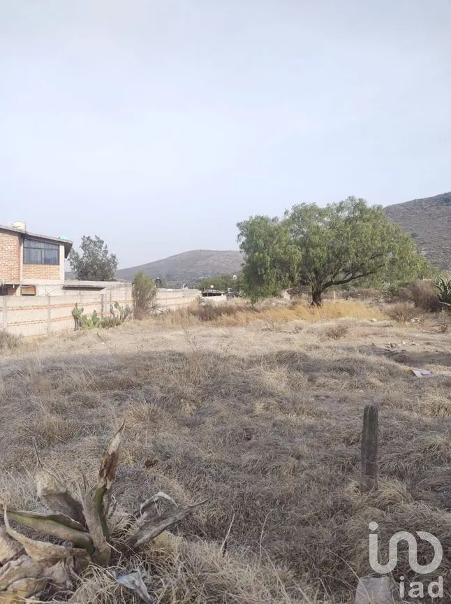 Terreno en Venta en Amaque, Mineral de la Reforma, Hidalgo | NEX-147859 | iad México | Foto 7 de 12