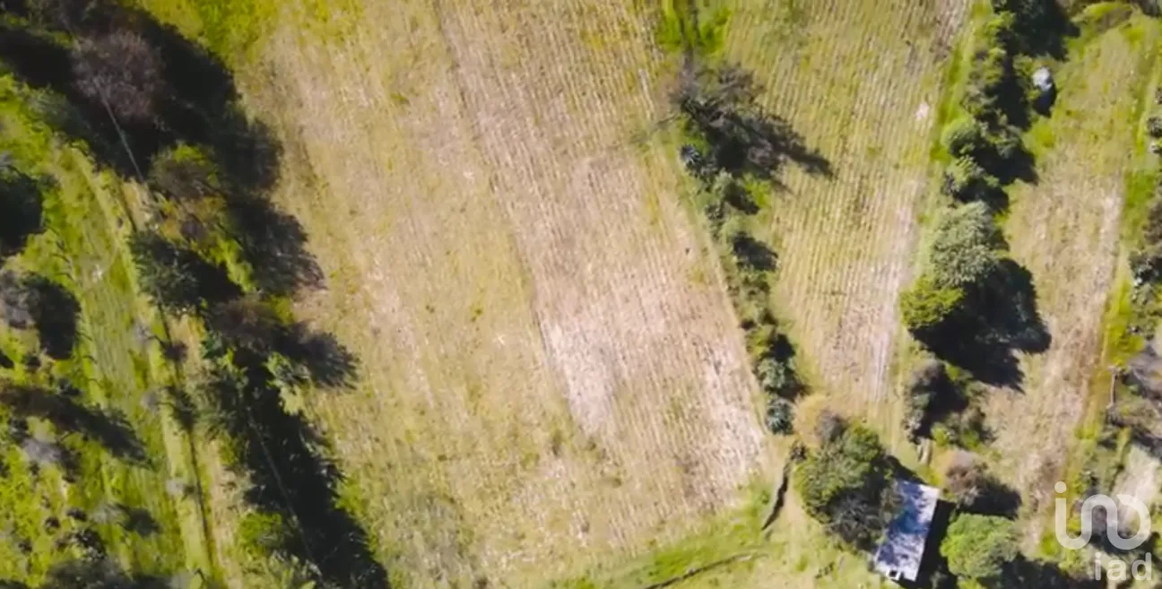 Terreno en Venta en Rincón Chico, Omitlán de Juárez, Hidalgo | NEX-160191 | iad México | Foto 12 de 19