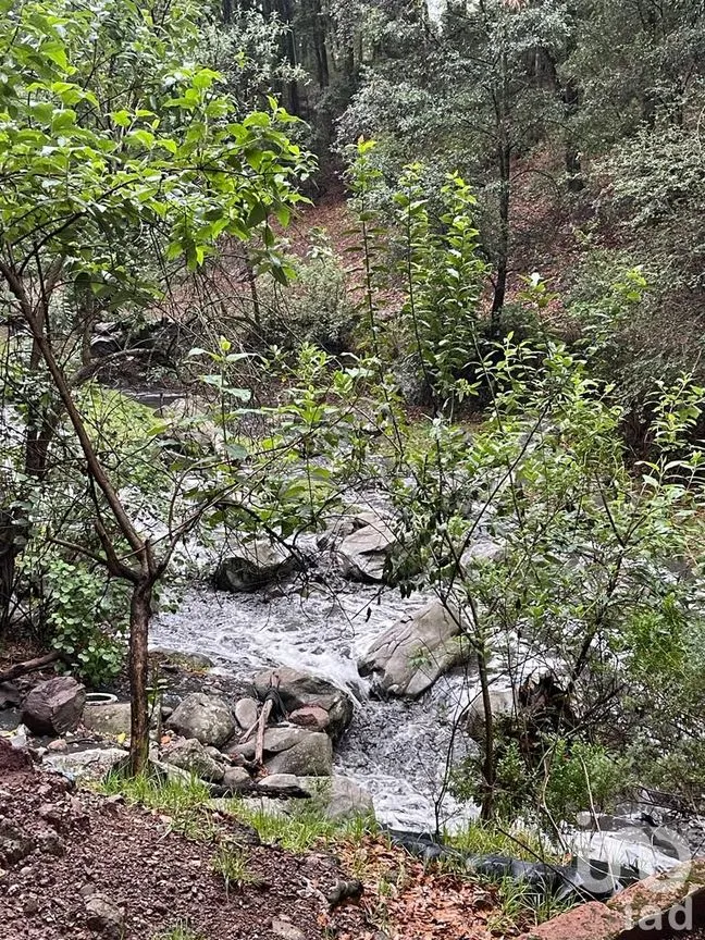 Terreno en Venta en Rincón Chico, Omitlán de Juárez, Hidalgo | NEX-160191 | iad México | Foto 15 de 19