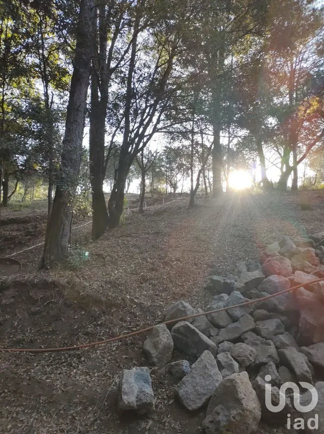 Terreno en Venta en Rincón Chico, Omitlán de Juárez, Hidalgo | NEX-160191 | iad México | Foto 6 de 19