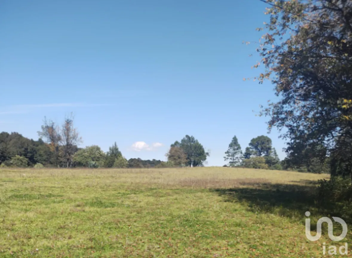 Terreno en Venta en Rincón Chico, Omitlán de Juárez, Hidalgo | NEX-160191 | iad México | Foto 7 de 19