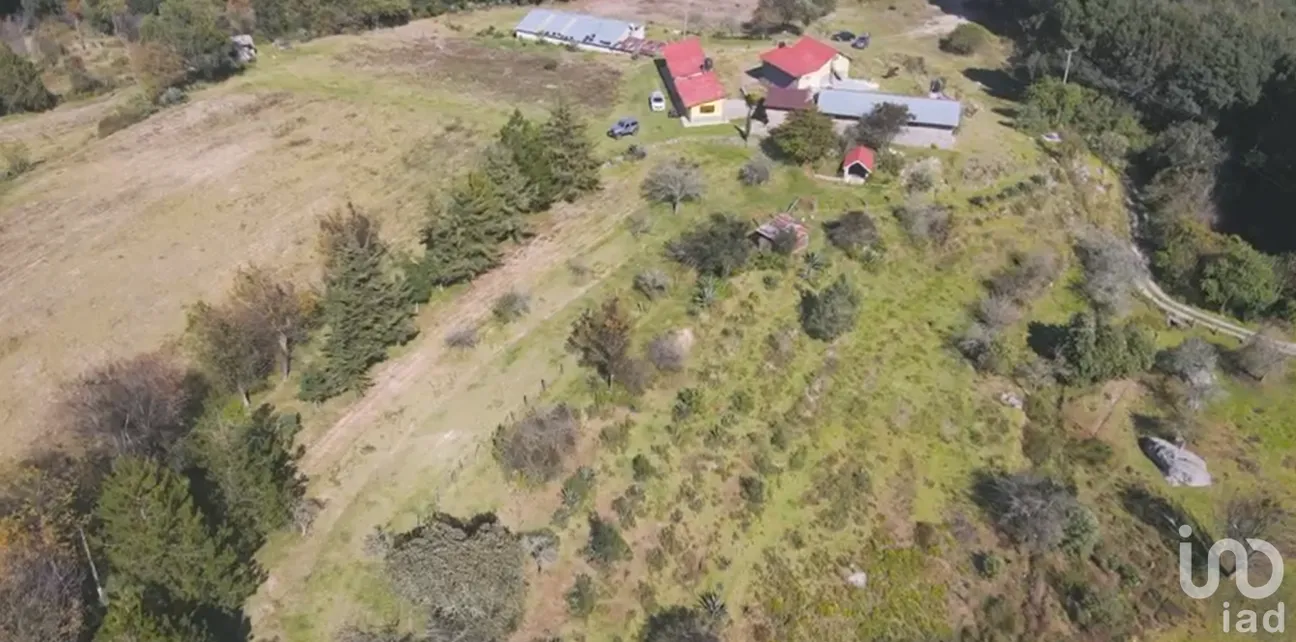 Terreno en Venta en Rincón Chico, Omitlán de Juárez, Hidalgo | NEX-160191 | iad México | Foto 10 de 19