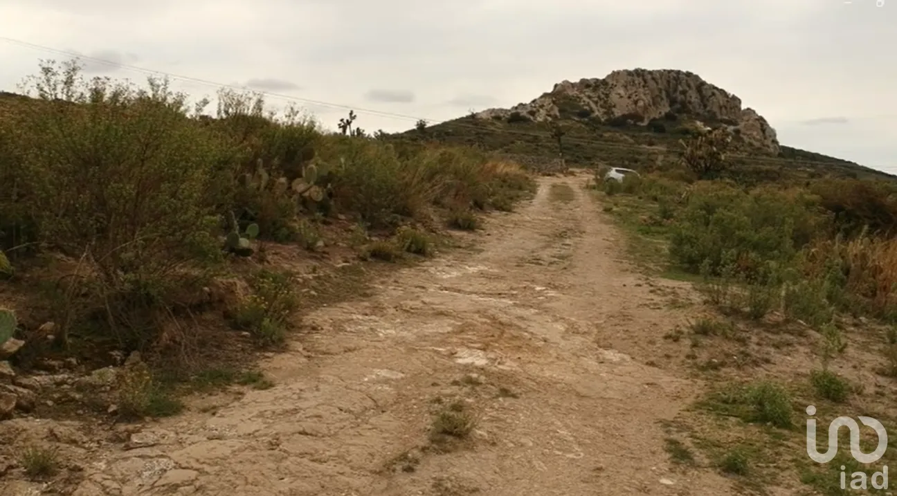 Terreno en Venta en San Juan Tizahuapan, Epazoyucan, Hidalgo | NEX-160207 | iad México | Foto 3 de 14