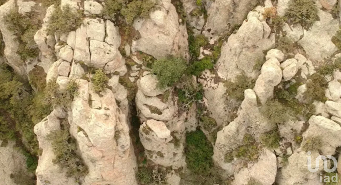 Terreno en Venta en San Juan Tizahuapan, Epazoyucan, Hidalgo | NEX-160207 | iad México | Foto 4 de 14