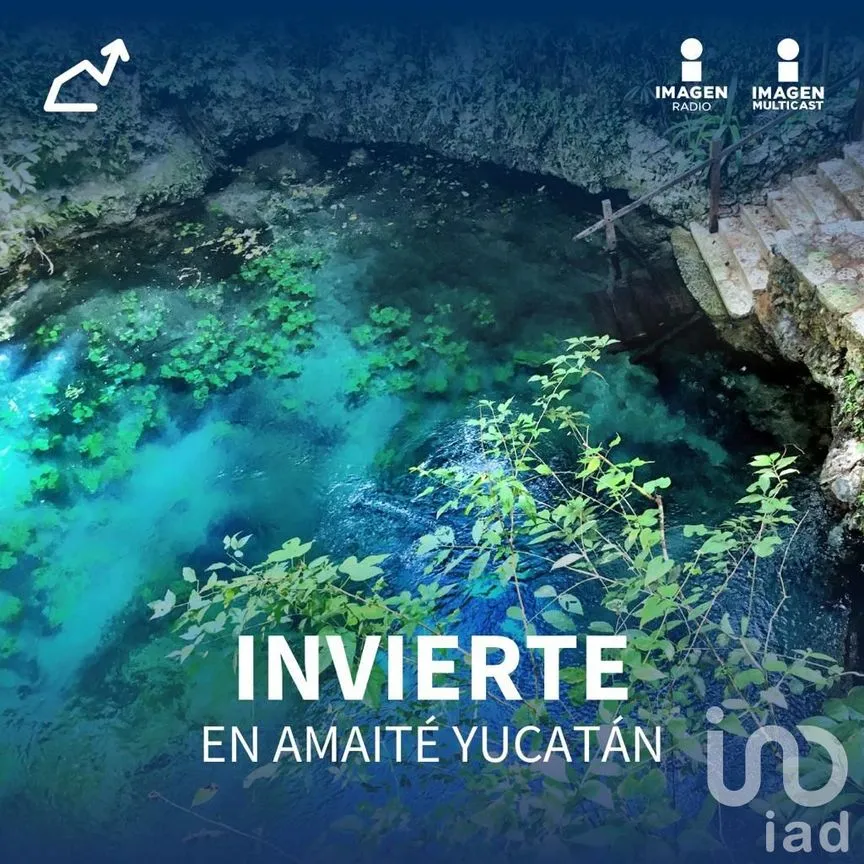 Terreno en Venta en Dzidzantún, Dzidzantún, Yucatán | NEX-161024 | iad México | Foto 4 de 7