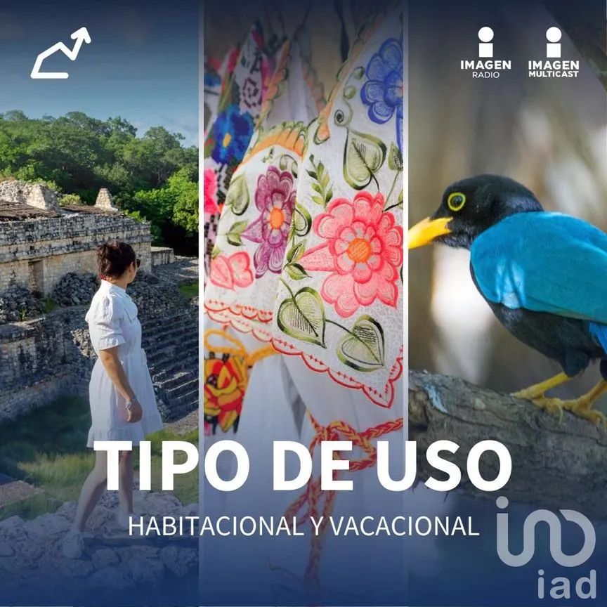 Terreno en Venta en Dzidzantún, Dzidzantún, Yucatán | NEX-161024 | iad México | Foto 6 de 7