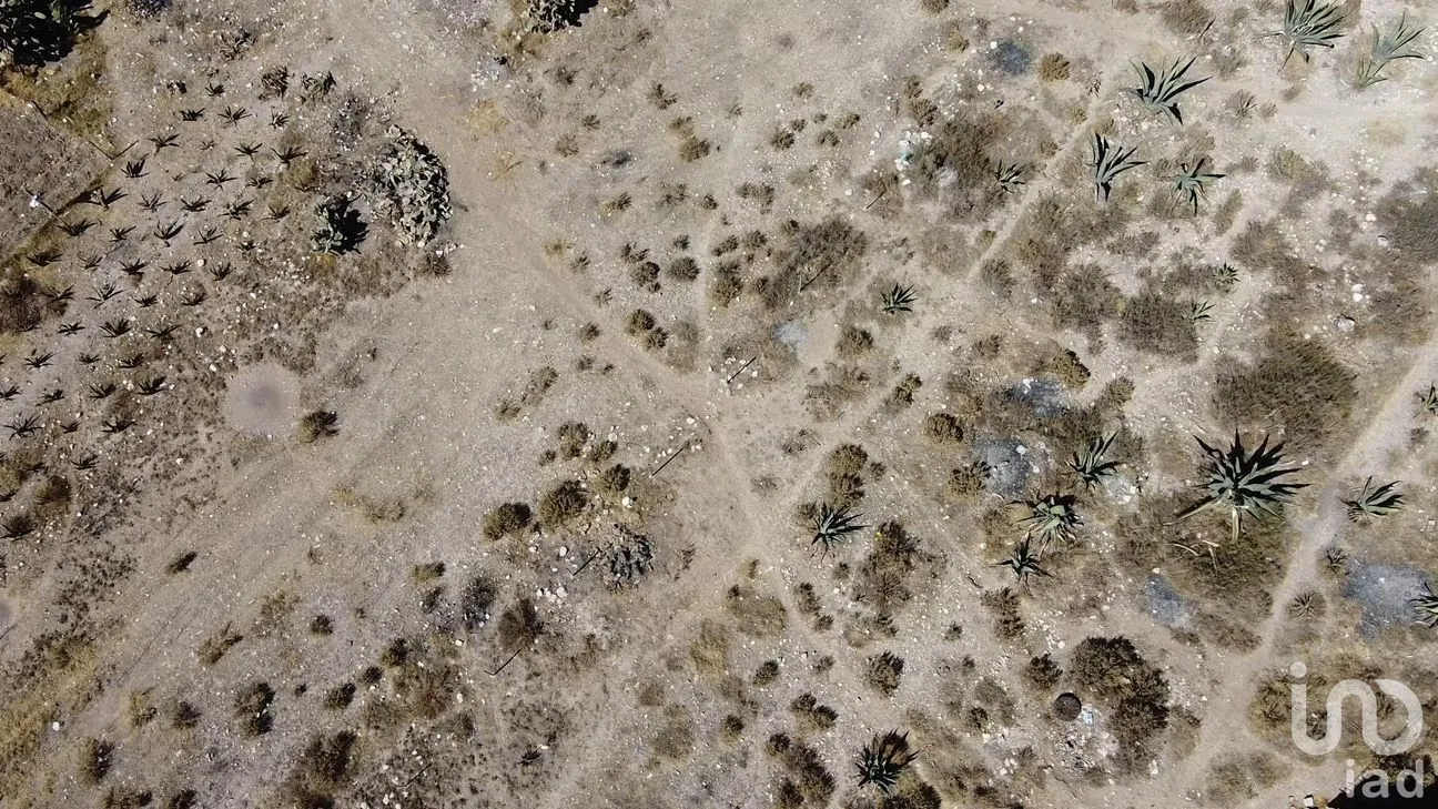 Terreno en Venta en Azoyatla de Ocampo, Mineral de la Reforma, Hidalgo | NEX-163928 | iad México | Foto 9 de 12