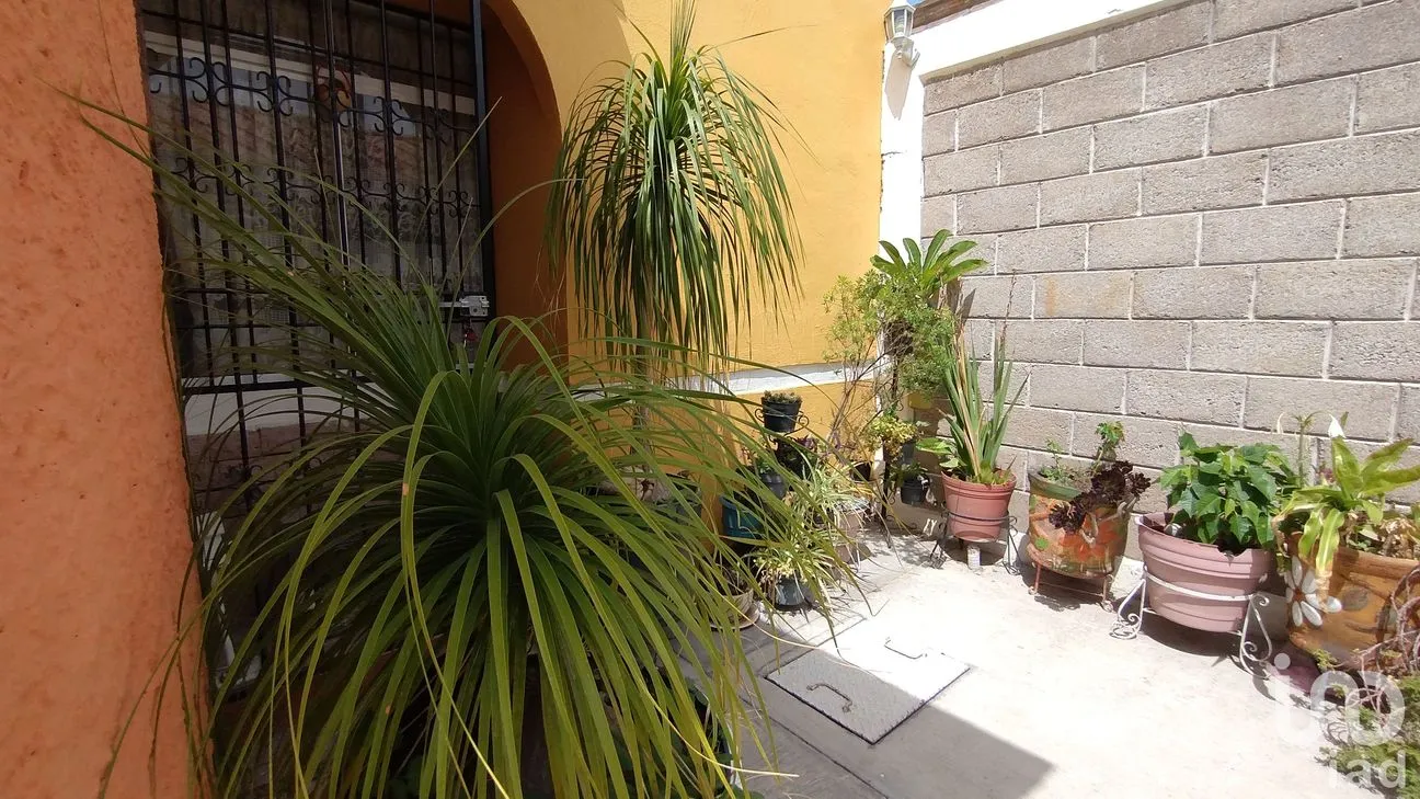 Casa en Venta en Azoyatla de Ocampo, Mineral de la Reforma, Hidalgo | NEX-188780 | iad México | Foto 16 de 20