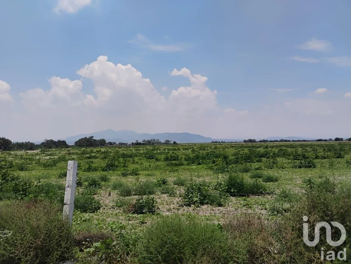 Terreno en Venta en Zapotlán de Juárez Centro, Zapotlán de Juárez, Hidalgo | NEX-209789 | iad México | Foto 7 de 10
